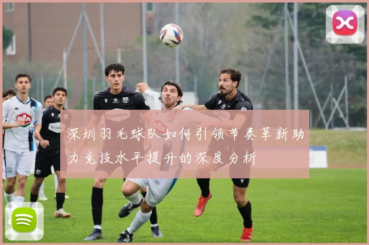 深圳羽毛球队如何引领节奏革新助力竞技水平提升的深度分析