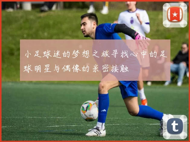 小足球迷的梦想之旅寻找心中的足球明星与偶像的亲密接触