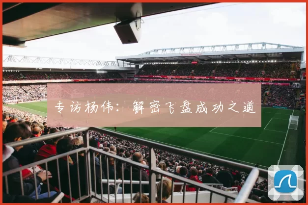 专访杨伟：解密飞盘成功之道