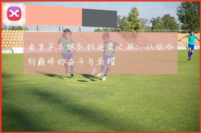 南京乒乓球队的逆袭之旅：从低谷到巅峰的奋斗与荣耀